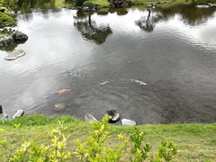 -水前寺成趣园