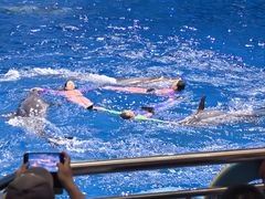 -多彩贵州城极地海洋世界