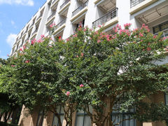 -北京师范大学(珠海校区)