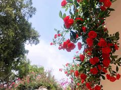 -人民公园(罗湖区)