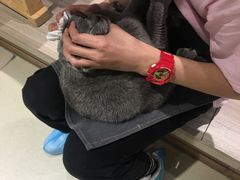 -藏猫猫咖啡主题馆(中央大道店)