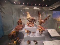 -四川大学博物馆