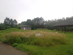 -白鹭湾湿地公园