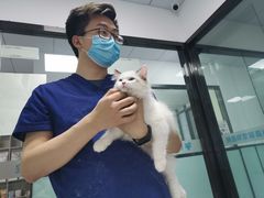 -嘉馨宠物医院·CT影像转诊·心脏科·犬猫全科诊疗中心(下沙大学城院区)