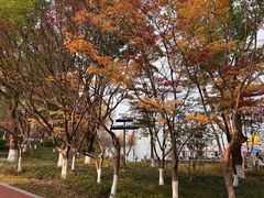 -金鸡湖桃花岛