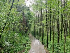 -凤栖山