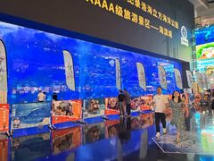 -海合安成都极地海洋公园