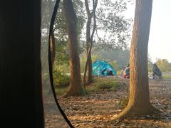 -青龙山国家森林公园