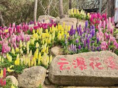 -沂蒙云瀑洞天景区