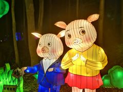 -昆山城市生态森林公园