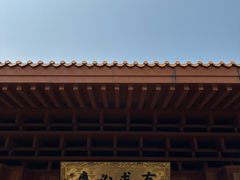 -深圳仙湖植物园