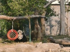 -武汉动物园