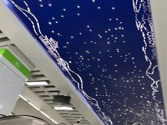 -杭州奥体中心-体育场