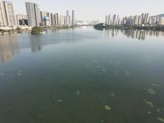-梅溪湖城市岛