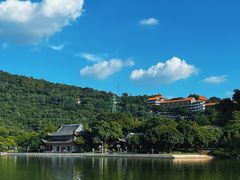 -顺峰山公园