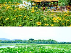 -颐和园