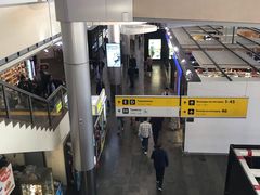 -谢列梅捷沃国际机场