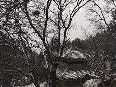 -香山公园
