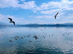 -丽江泸沽湖景区