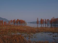 -四明湖
