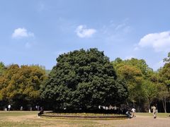 -灵谷景区