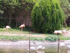 -西安秦岭野生动物园