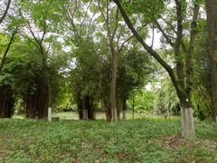 -成都中医药大学(温江校区)