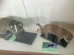 iphone_upload_pic-下渚湖国家湿地公园科普馆