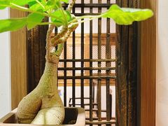 -德迹斋禅意文化茶馆·茶空间·商务洽谈•宴席(桃园店)