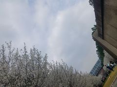 -同济大学(嘉定校区)