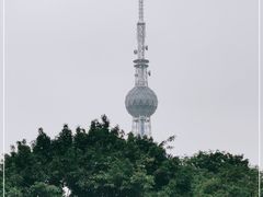 -文华公园(禅城区)