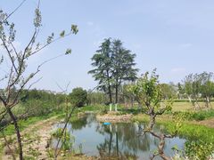 -大蜀山国家森林公园