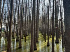 -采石矶景区