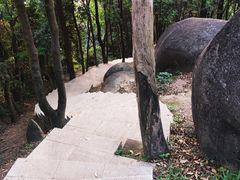 -火炉山森林公园