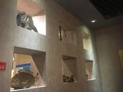 -徐记私厨(半淞园路店)