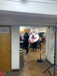 -艳芳照相馆