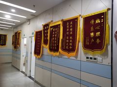 -中农国际动物医院24小时·猫科·骨科·急重症中心