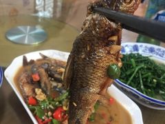 瑶河小鱼-瑶河山里菜