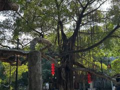 -小洲村