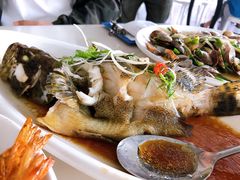 清蒸石斑鱼-南海渔家•海鲜•正宗海南菜(海棠湾店)