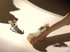 -火星时代教育(成都校区)