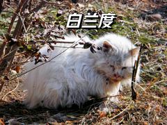 -大钟寺古钟博物馆
