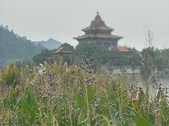 -顺峰山公园