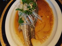 -新天世纪中餐厅