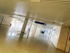 -首都医科大学附属北京天坛医院