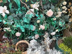 -IFIF 如果花園(宽厚里店)
