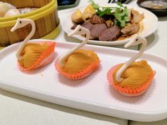 -满乐潮州(深业上城店)