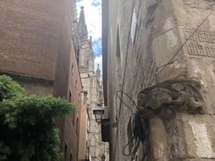 -巴塞罗那主教座堂