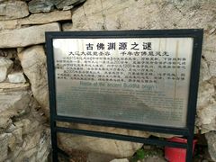-大芦花风景区