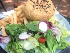 -Fern Forest Cafe